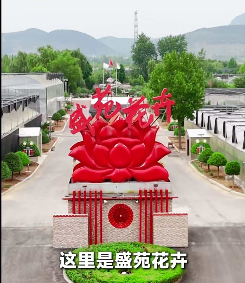 濟(jì)南盛苑花卉工程有限公司花卉展示